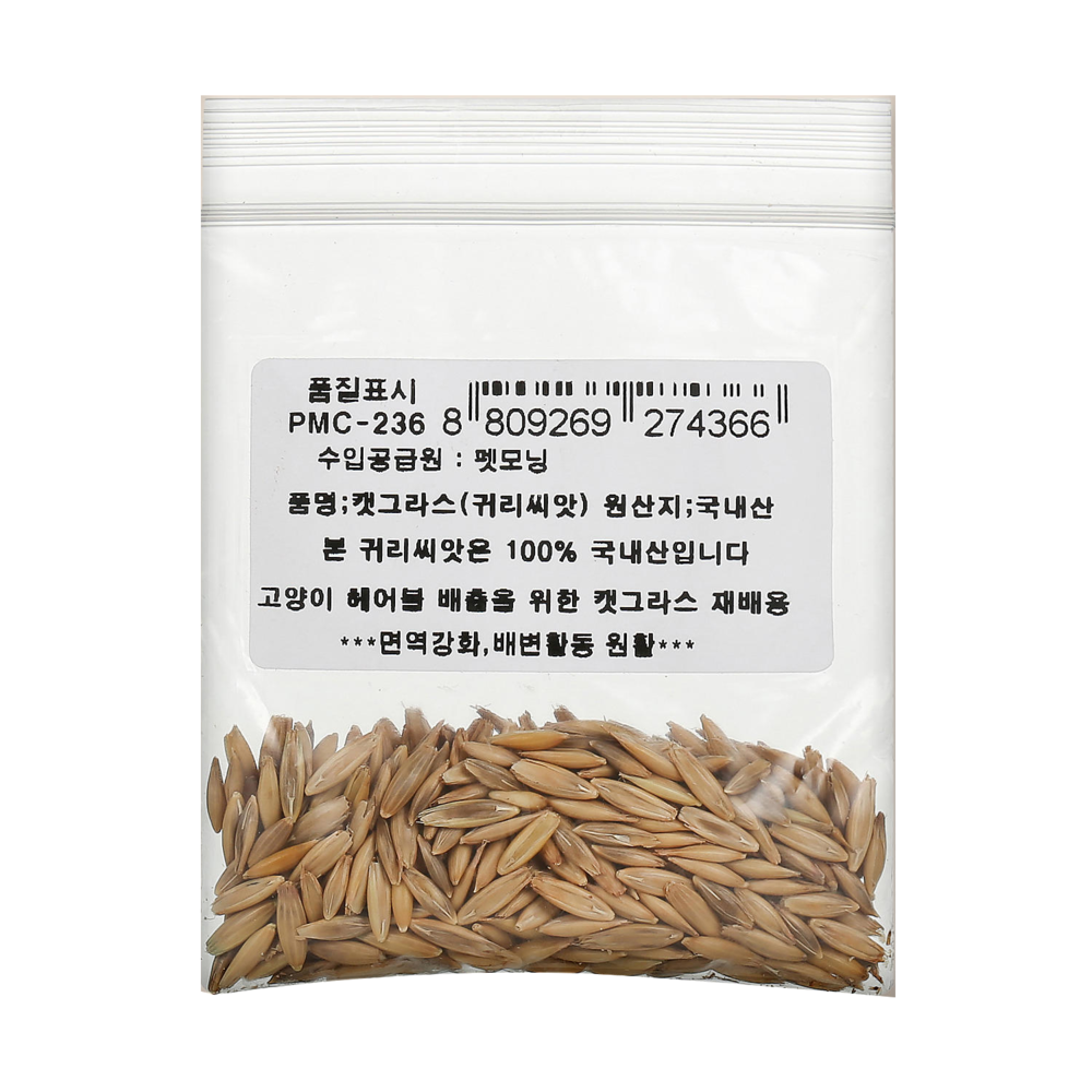 펫모닝 캣그라스 귀리씨앗