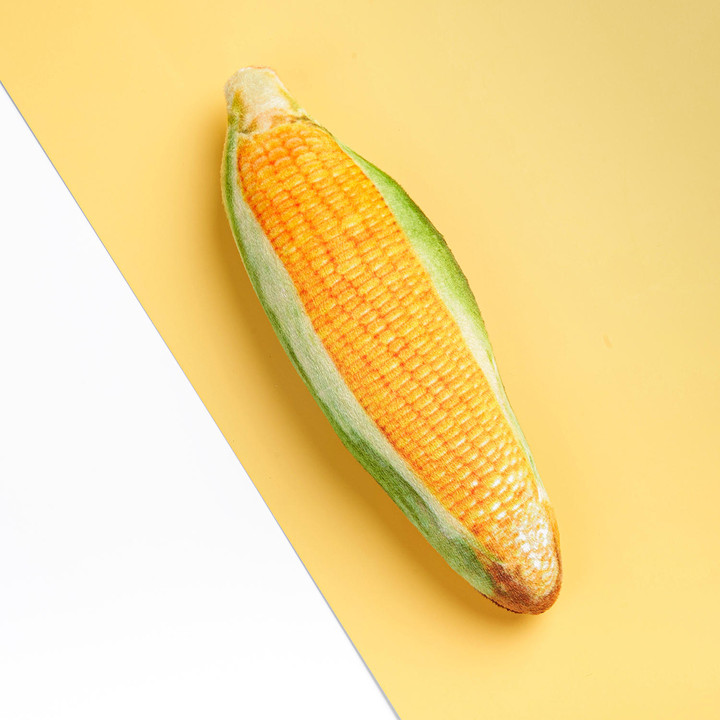 캣완트 캣닢 옥수수 쿠션