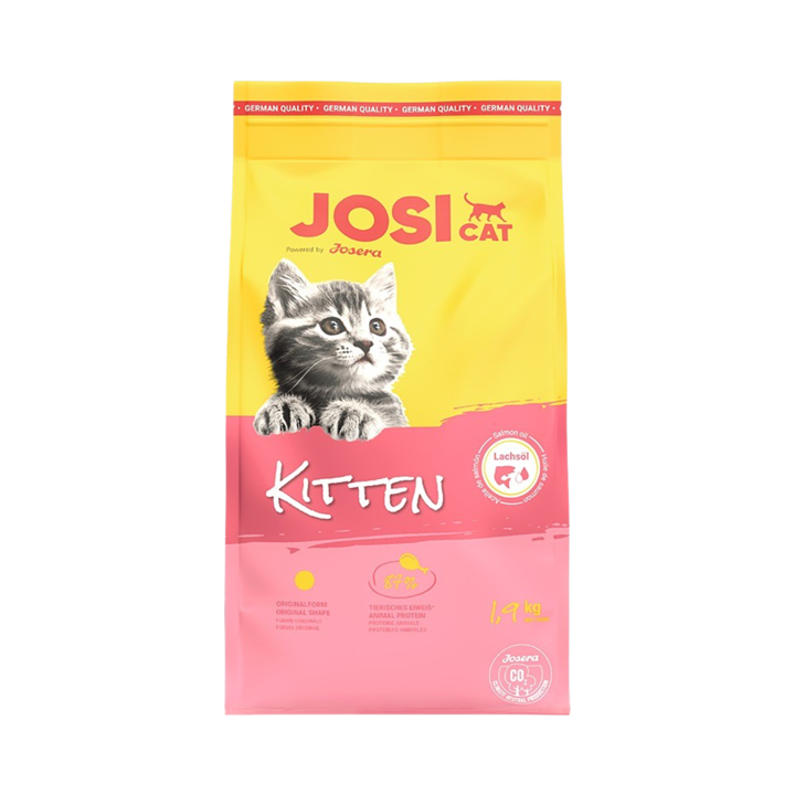 요세라 요시 캣 키튼 1.9kg