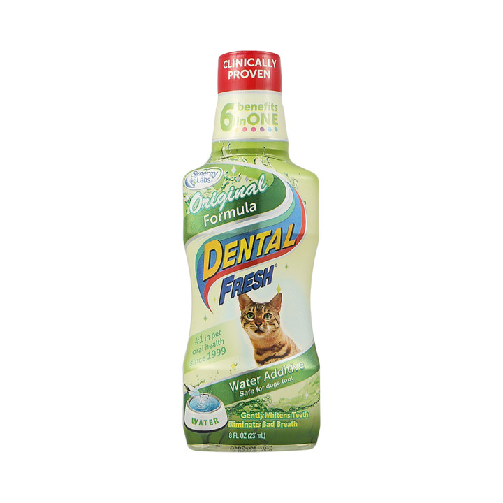 시너지랩 덴탈 후레쉬 캣 오리지널 237ml