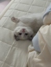 연*
